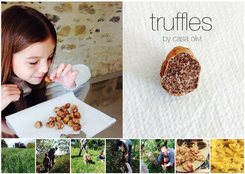 casa olivi truffle hunting casa olivi truffle hunting