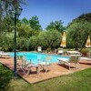 Schwimmbad des Ferienhaus Casa Tonio bei Lucca im Garten mit Olivenhain