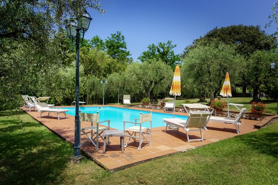 Schwimmbad des Ferienhaus Casa Tonio bei Lucca im Garten mit Olivenhain