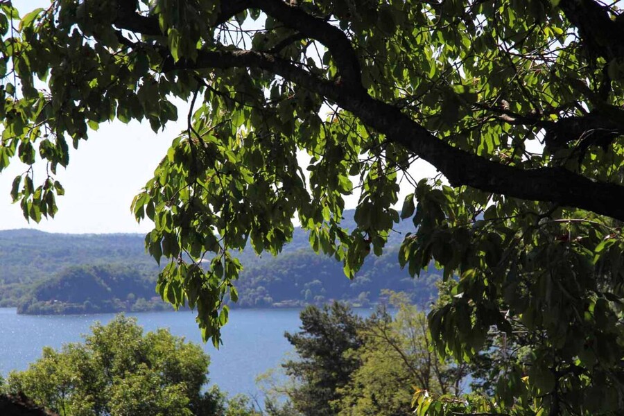 3c9744e4-515a-422e-a307-1b5b5ada0769.