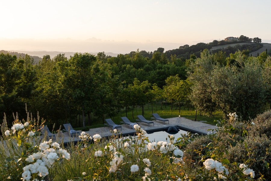 La Segreta Pool and Roses