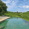 Privater Pool in der Casa Moscato bei Canelli mit Blick auf die Weinberge