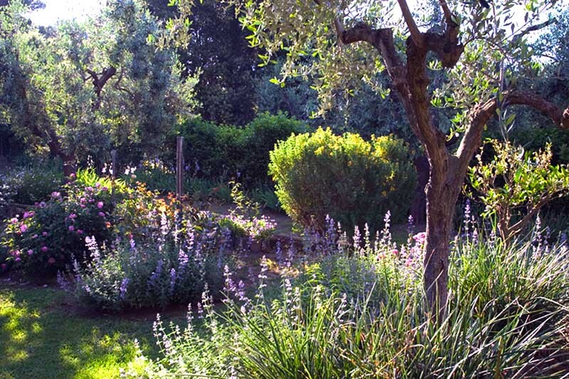 Talamone Tuscany-Coast Tuscany Villa Lantana gallery 009 1592989770