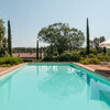 Ferienvilla Montalcino mit privatem Pool gesäumt von Zypressen