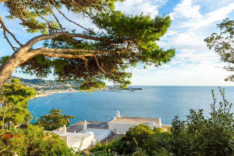 Forio Ischia Amalfiküste Il Pitosforo gallery 031 1692692511