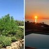 Villa Portobello 15