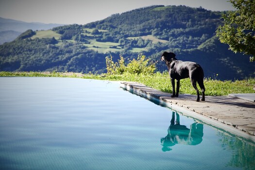 Ferienhaus in Italien – Mit privatem Pool und ideal für den Urlaub mit Hund.