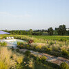Ferienhaus im Piemont mit privatem Pool und wunderschönem Garten