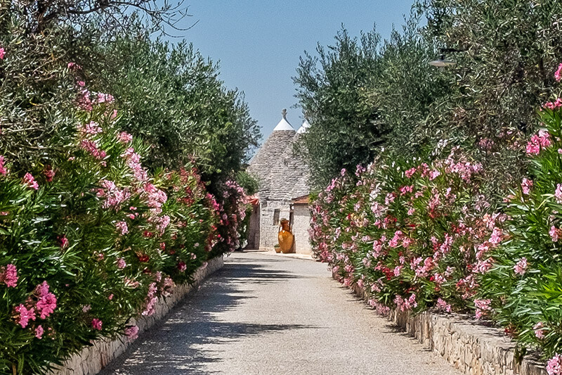 Castellana-Grotte Apulia Apulia-and-Basilicata I Trulli di Castellana gallery 002 1543474662