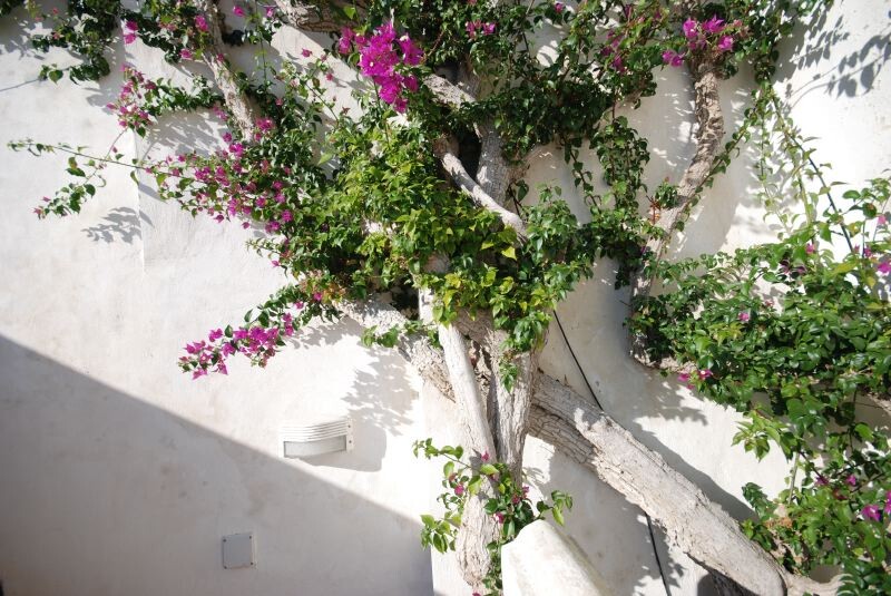 Positano Positano Amalfiküste Villa Svevo gallery 004