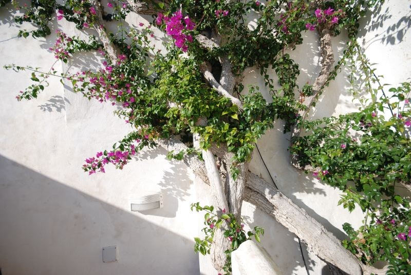 Positano Positano Amalfiküste Villa Svevo gallery 004