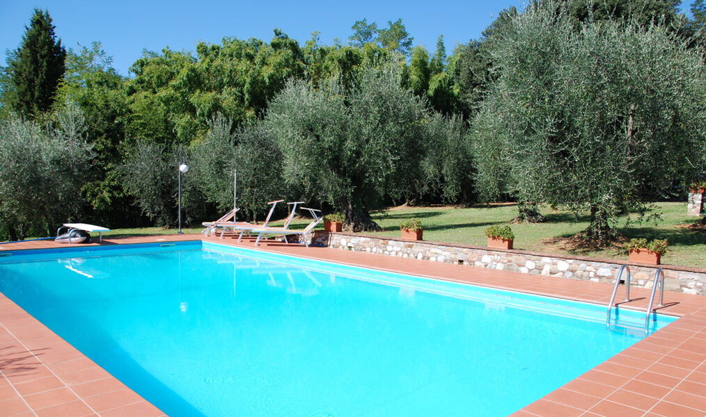 Pool zur Alleinnutzung mit Olivenbäumen im Ferienhaus Casa Tonio in der Toskana