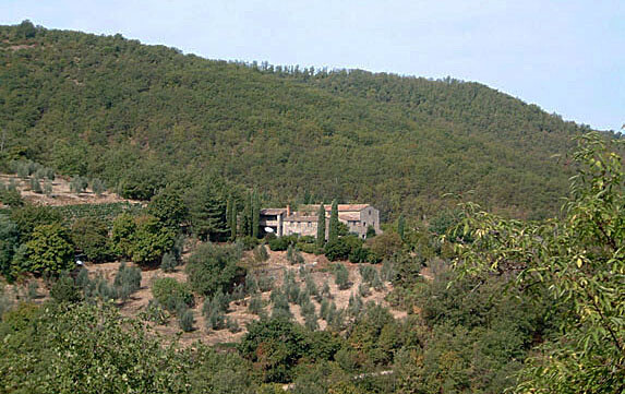 il faggeto R8865-O
