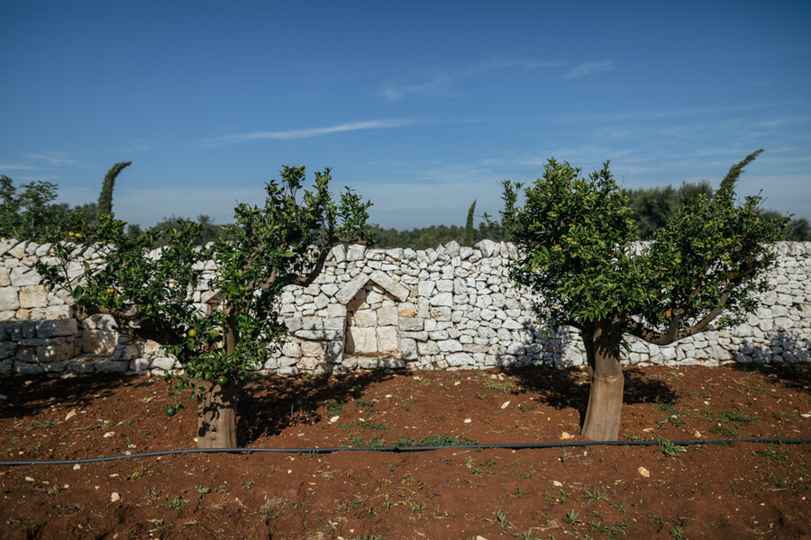 Casa in Italia - Villa Bellavista-13