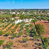 118 TRULLO POZZO DEL GECO