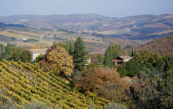 il faggeto R8865-D
