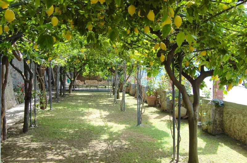 Castiglione Ravello-Area Amalfi-Coast Villa di Castiglione gallery 039 1613674845