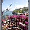 Bouganville5