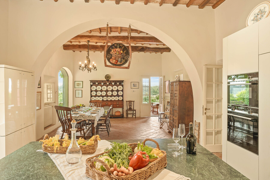 Villa CentOlivi in zona Palaia-11
