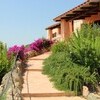 Villa Sardinien Brandinchi (13)