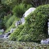 Garden details 4