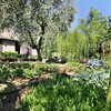 Macennere 034