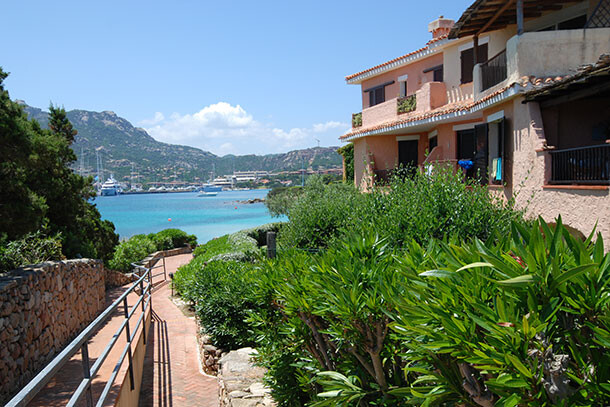 DaliaU