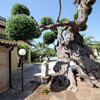 VillaEzioT