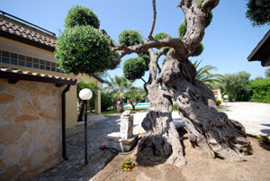 VillaEzioT