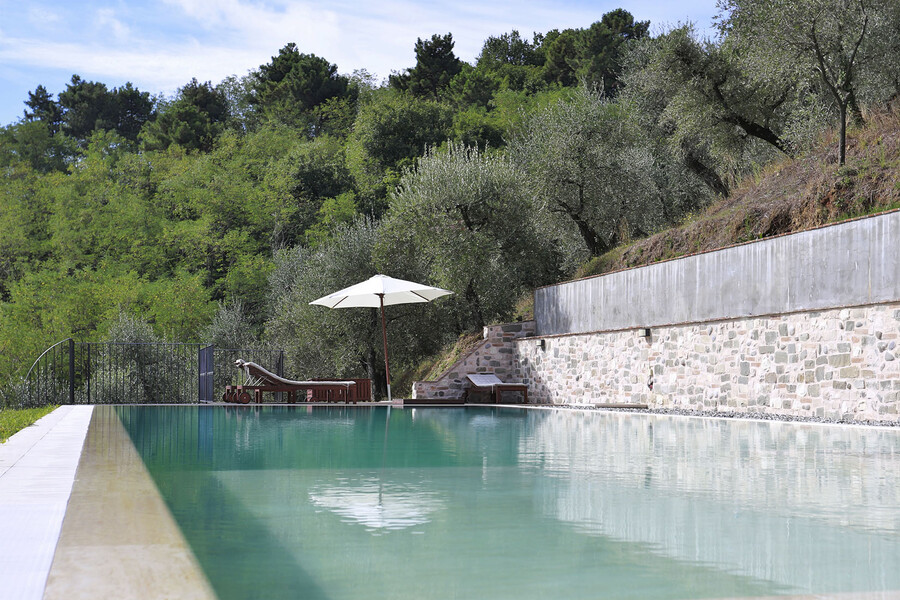 Private pool in a holiday villa in Lucca with olive trees