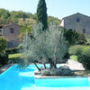 il faggeto R8865-A