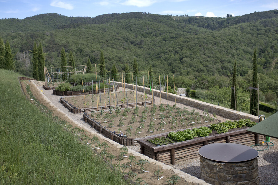 Ein kleiner Kräuter- und Gemüsegarten grenzt direkt an die Villa La Maccinaia an