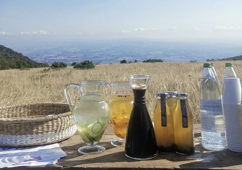 Integro Casa Olivi Picknick