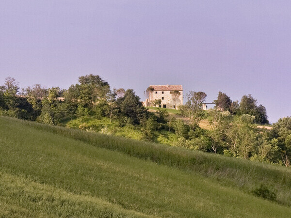 Casa Olivi von Weitem in der grünen Umgebung der Region Le Marche