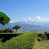 LaCasadiFedericaE3