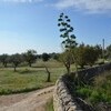 Scicli Ragusa-Area Sicily Torre dei Mori gallery 040 1571739795