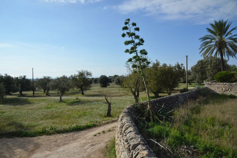 Scicli Ragusa-Area Sicily Torre dei Mori gallery 040 1571739795