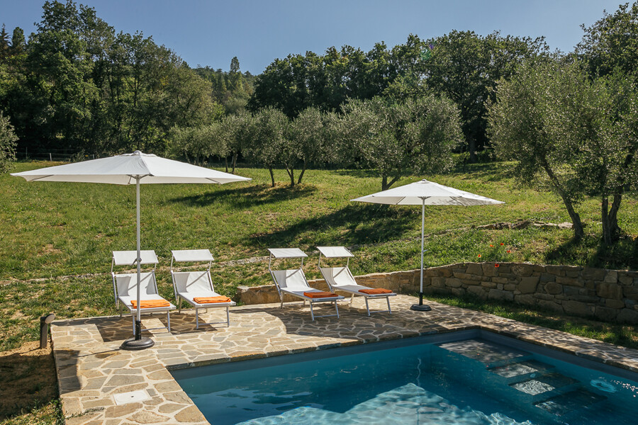 Private pool in the middle of the olive trees in Umbria