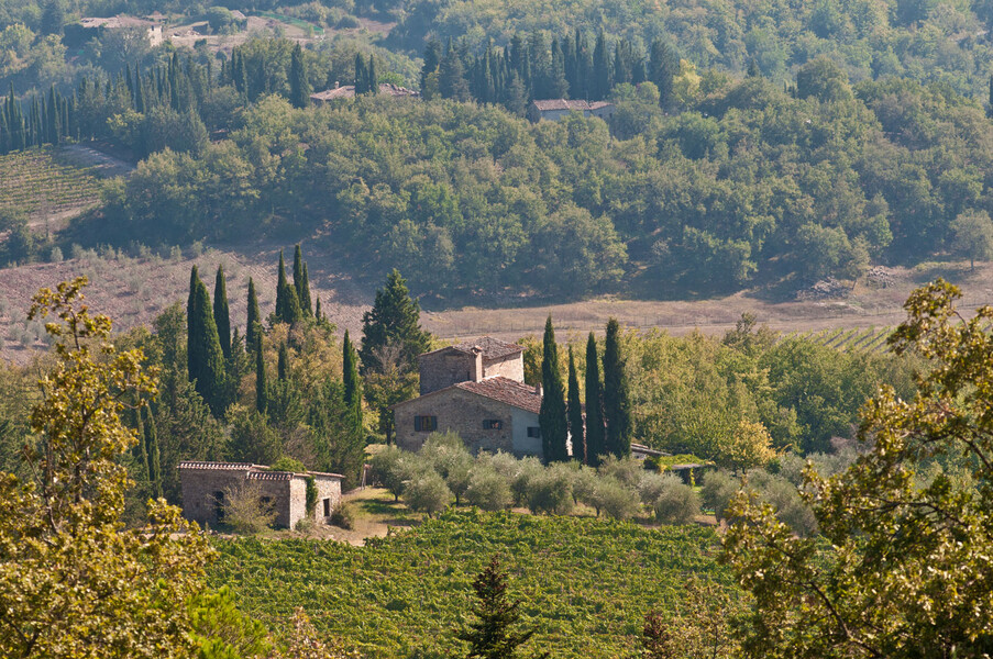 casa vecchia chianti 032