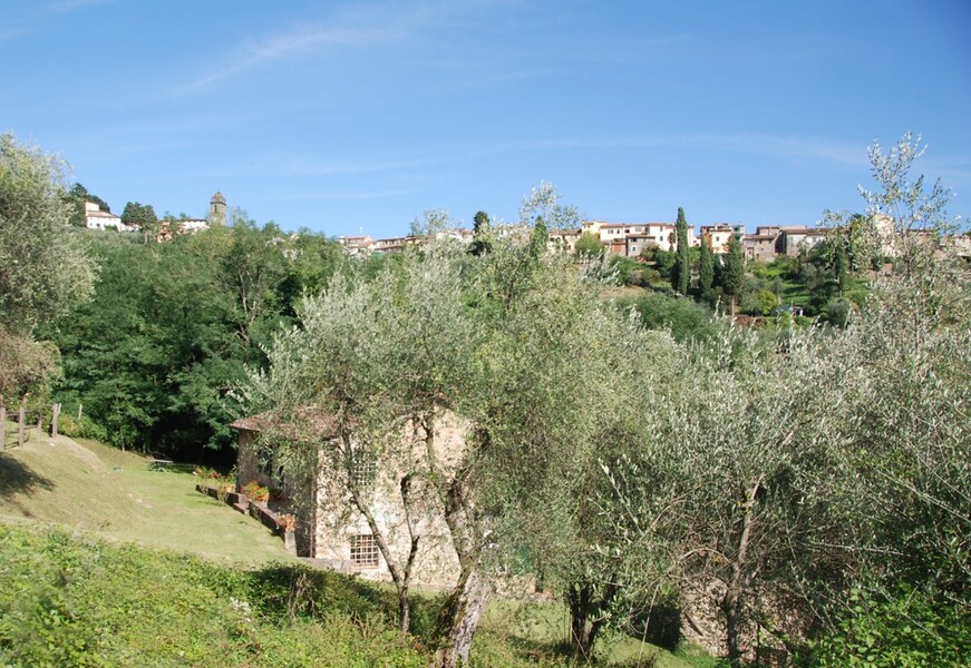 Ferienhaus Magrini inmitten der Olivenbäume bei Lucca in der Toskana