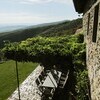 Überwachsene Terrasse mit Blick auf den Trasimeno See in Umbrien