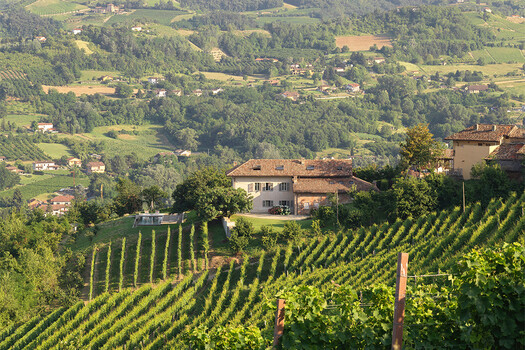 Villa Casa Moscato in den Weinbergen im Piemont bei Alba