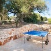 Trulli-of-stars-ping-pong-table-1