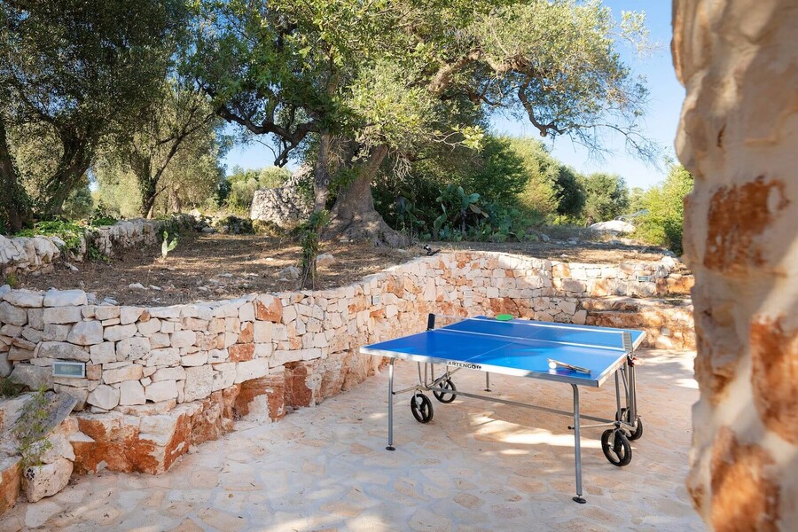 Trulli-of-stars-ping-pong-table-1