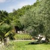 VillaCastelletto naturalpond MH small  0439