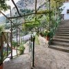 Praiano Praiano Amalfi-Coast Il Corallo gallery 005 1540574409