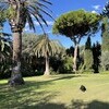 villa lantana 123