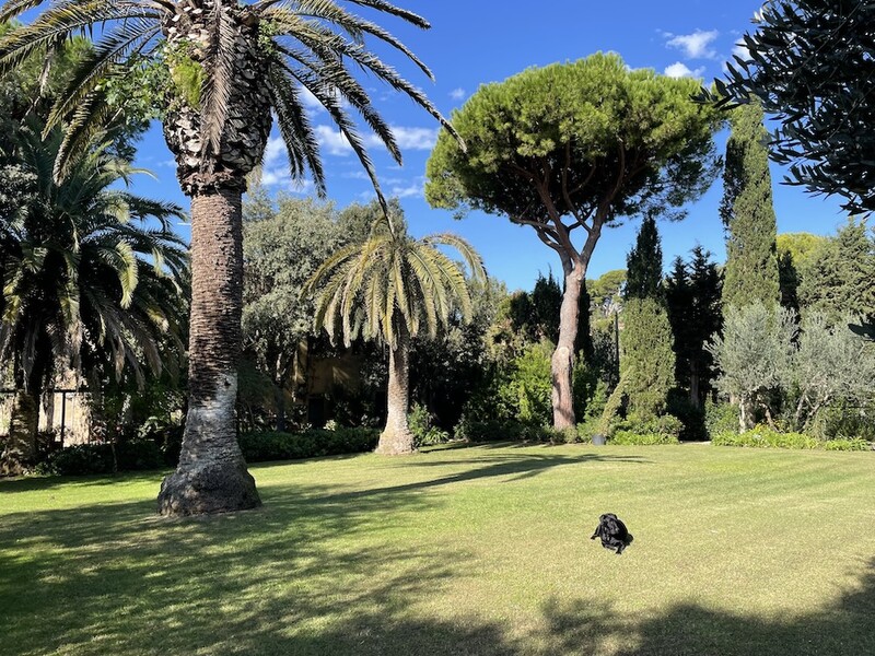 villa lantana 123