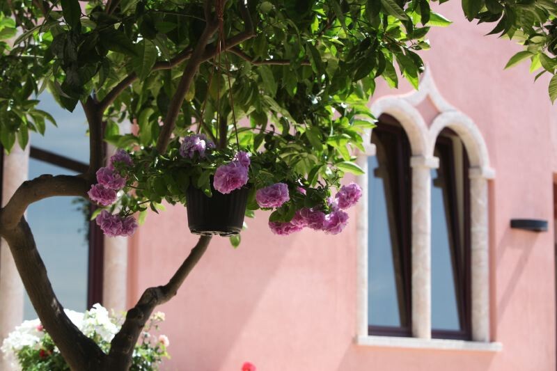 Taormina Taormina Sicily Casa Scimone gallery 052 1749807275