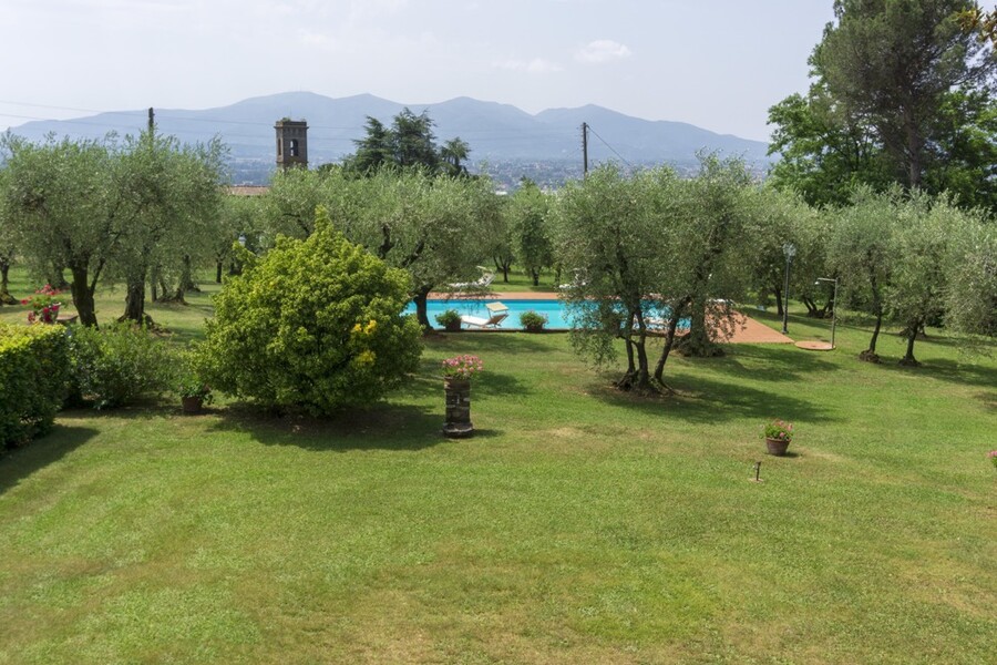 Garten mit Olivenhain und privater Pool in der Casa Tonio bei Lucca